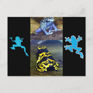 POSTAL AZUL DART FROG