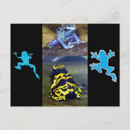 POSTAL AZUL DART FROG