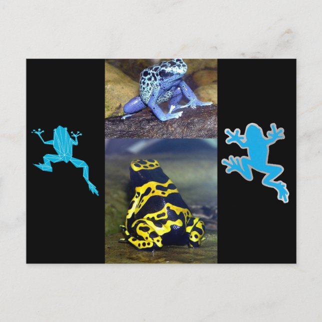 POSTAL AZUL DART FROG (Anverso)