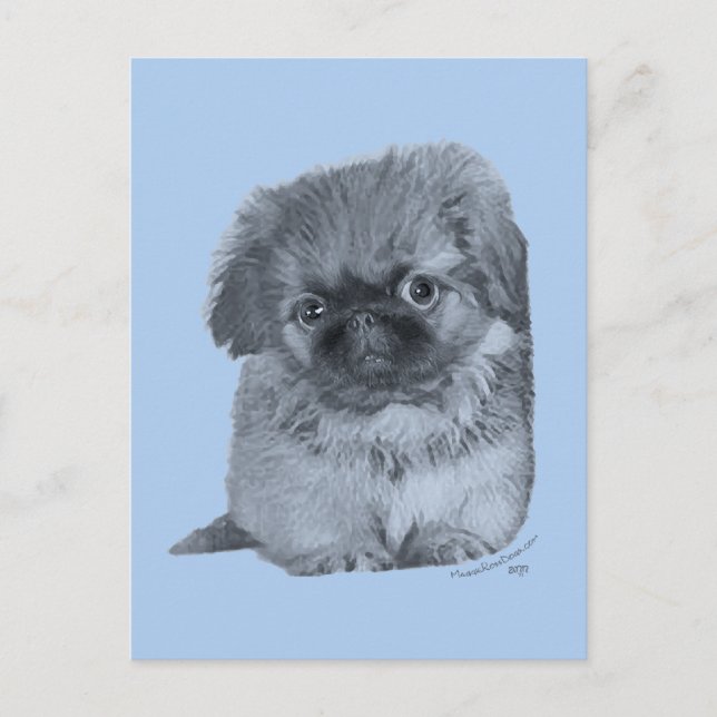 Postal Azul de cachorro pekinés (Anverso)