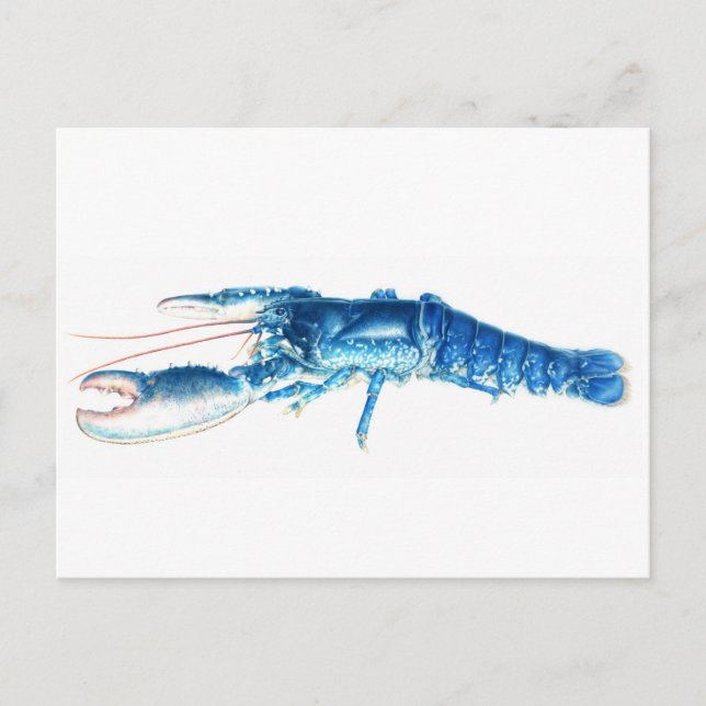 Postal azul de la acuarela de la bella arte de la (Anverso)
