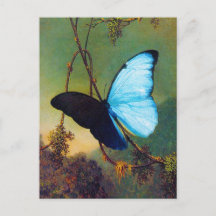 Postal azul de la mariposa de Morpho
