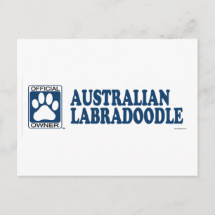 Postal Azul de Labradoodle del australiano