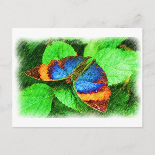 Postal azul del arte del lápiz de la mariposa (Anverso)