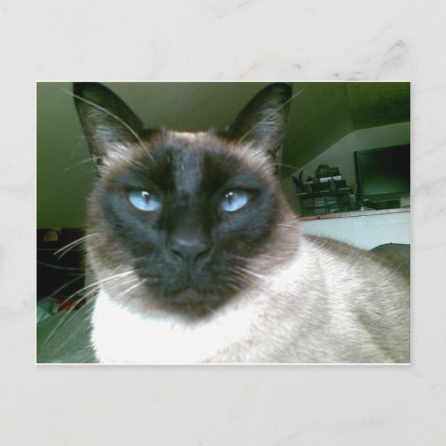 Postal azul dosel (Anverso)