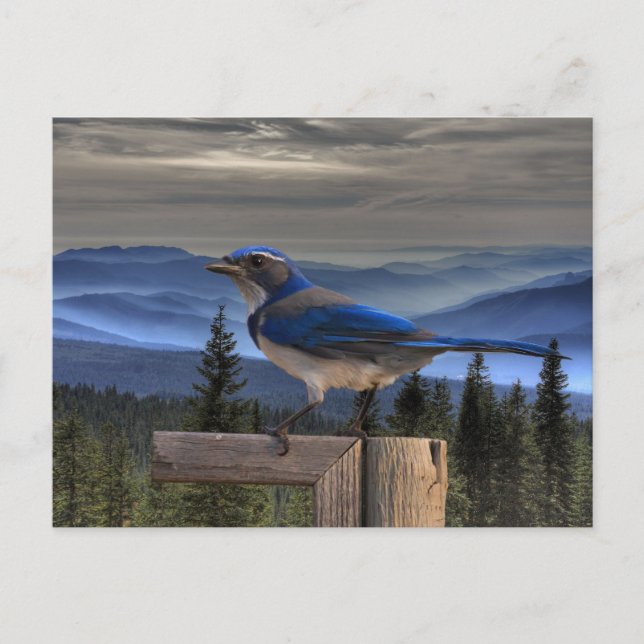 POSTAL AZUL EN AZUL (Anverso)