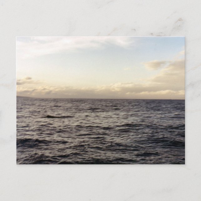 Postal Azul hawaiano (Anverso)