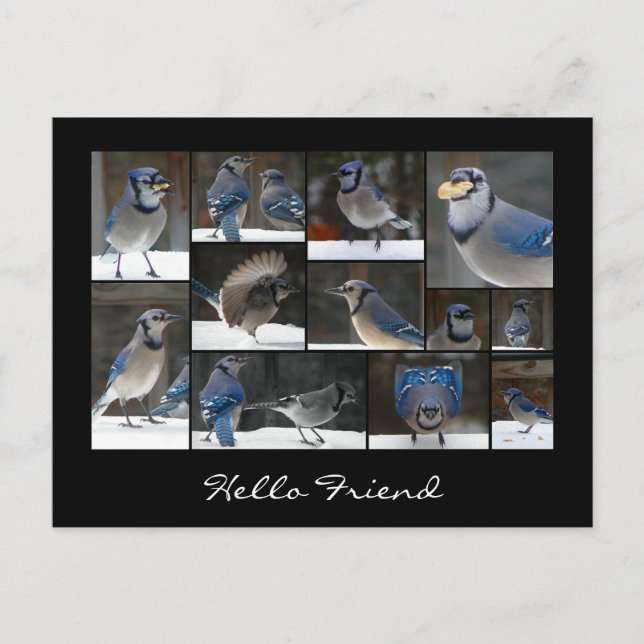 Postal azul Jay Collage (Anverso)