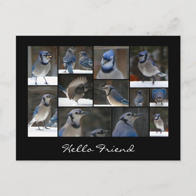 Postal azul Jay Collage (Anverso)
