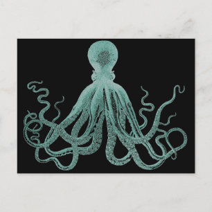 Postal azul octopus