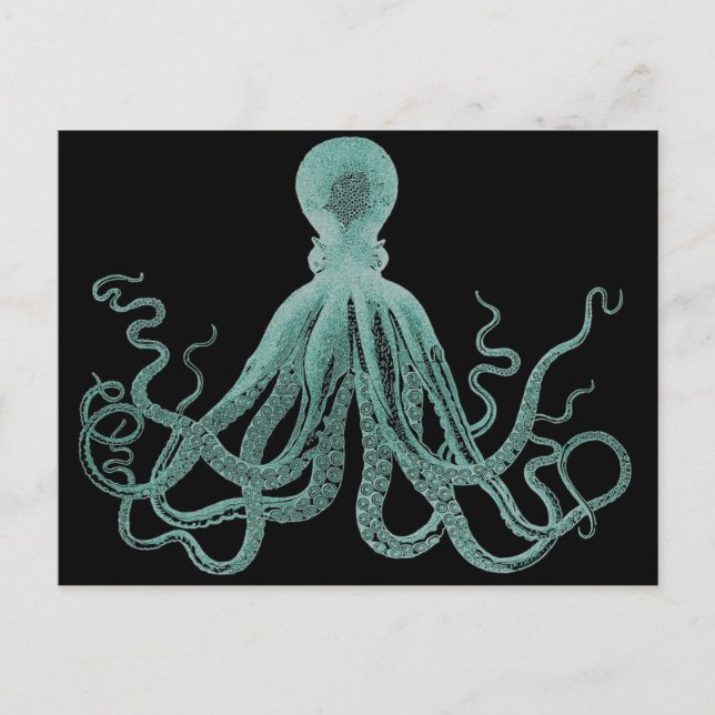 Postal azul octopus (Anverso)