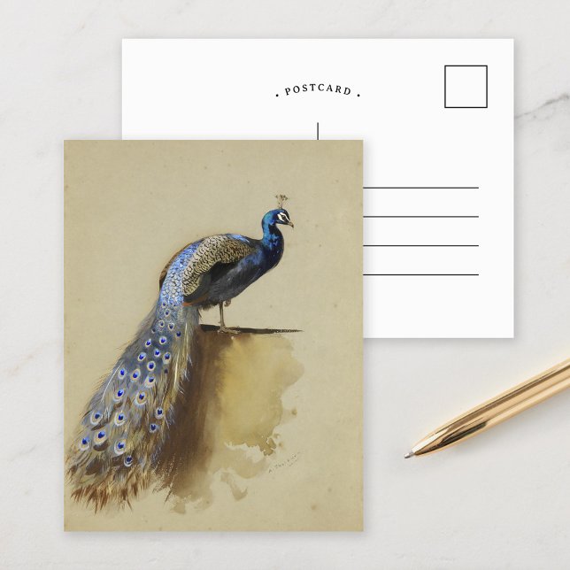 Postal Azul pavo real | Archibald Thorburn (Subido por el creador)