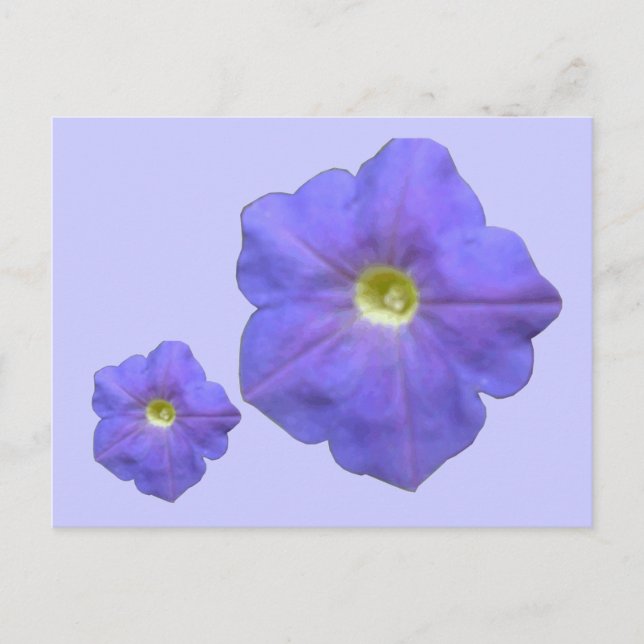 Postal azul Petunias (Anverso)