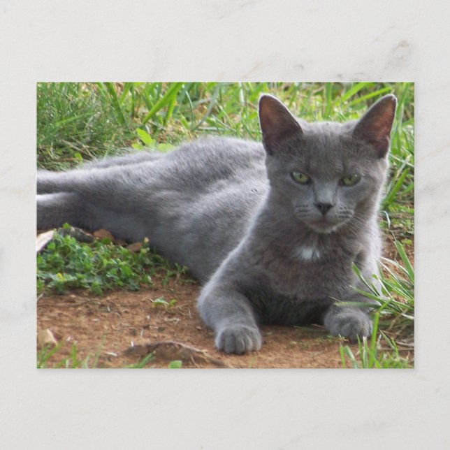 Postal Azul ruso, Natasha (Anverso)