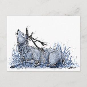 Postal azul Stag