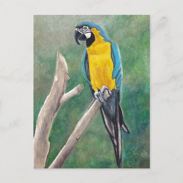 Postal azul y dorada para el arte de las aves (Anverso)