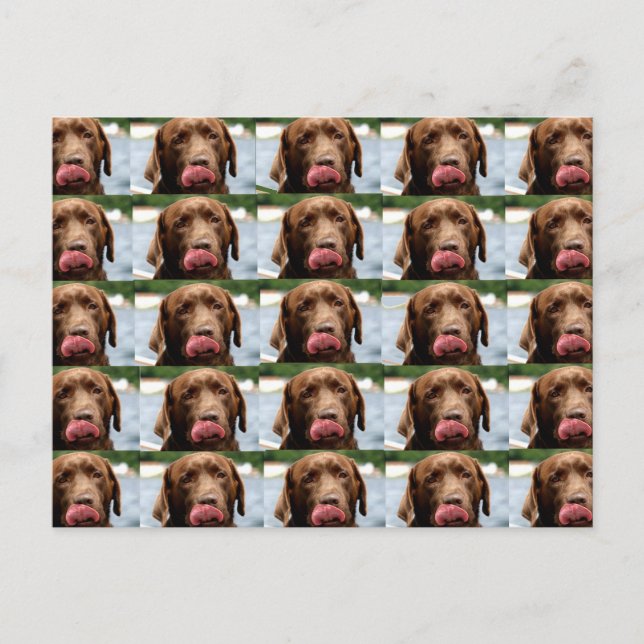 Postal Azulejos de Chocolate Labrador Retriever BG (Anverso)