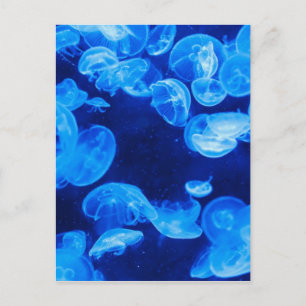 Postal Azulejos submarinos
