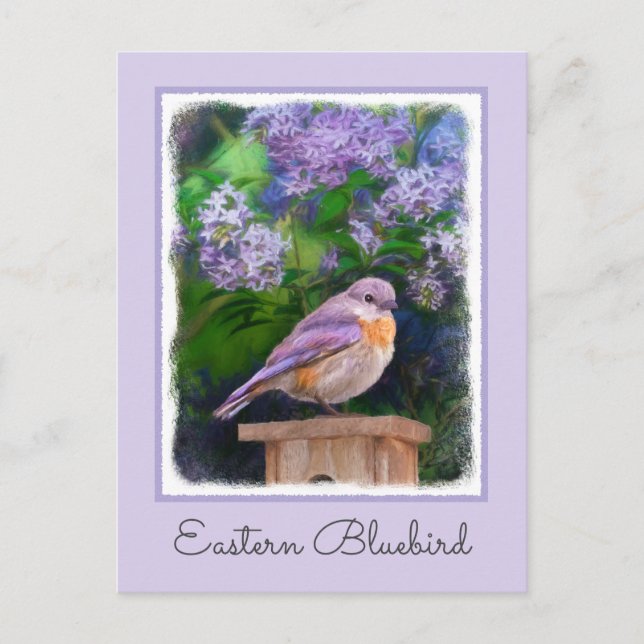 Postal Azulito Oriental en la Nieve - Fotografía Original (Anverso)