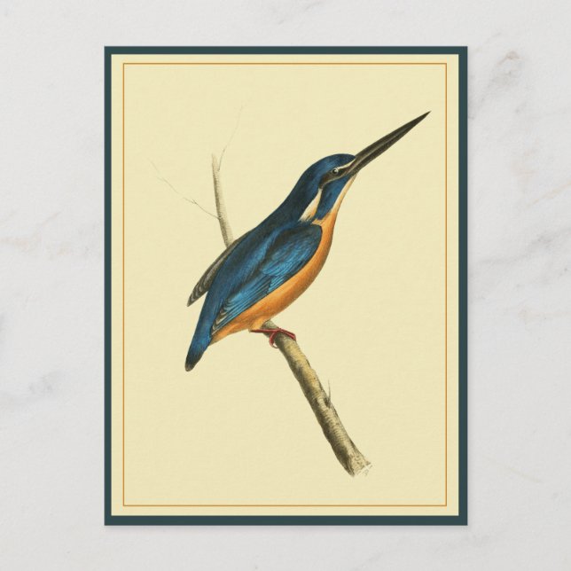 Postal Azure Kingfisher (Anverso)