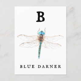 Postal "B" Blue Darner