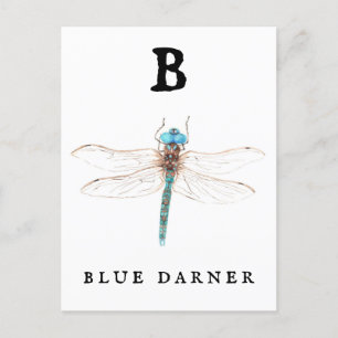 Postal "B" Blue Darner