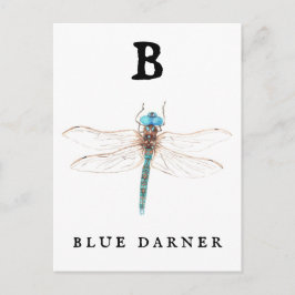 Postal "B" Blue Darner