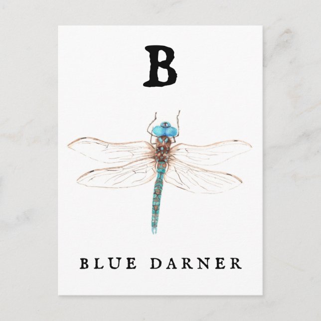 Postal "B" Blue Darner (Anverso)