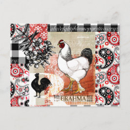 Postal B es para Brahma Backyard Chicken