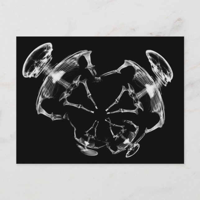 Postal B&W de la familia Skeleton Stretched X-Ray (Anverso)