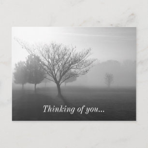 Postal B&W Foggy Morning Sunrise Pensando En Tu Postcard