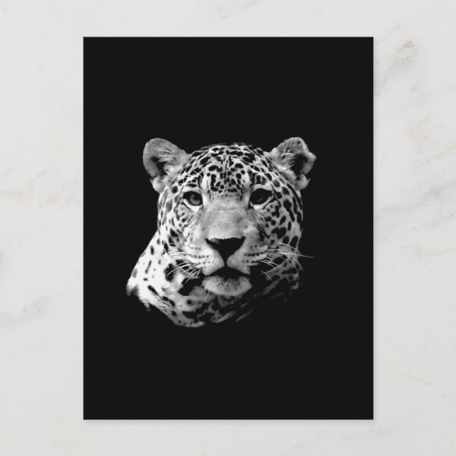 Postal B&W Jaguar (Anverso)