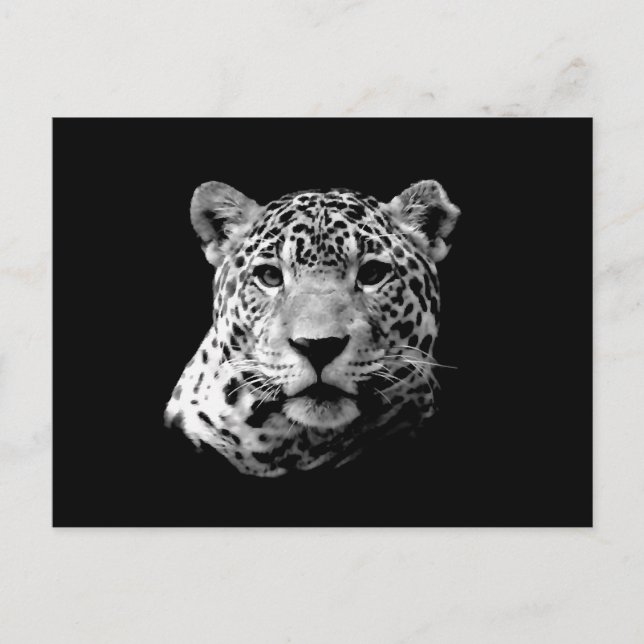 Postal B&W Jaguar (Anverso)