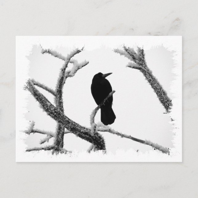 Postal B&W Winter Raven Edgar Allan Poe (Anverso)
