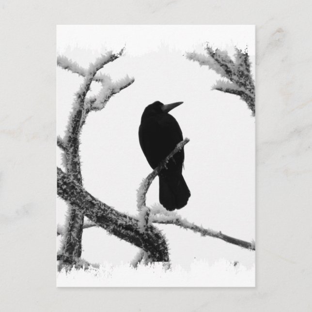 Postal B&W Winter Raven Edgar Allan Poe (Anverso)