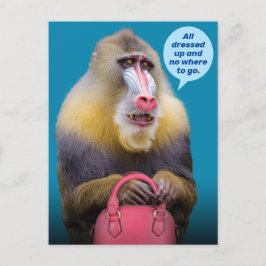 Postal Baboon gracioso, todo vestido... No A Dónde Ir