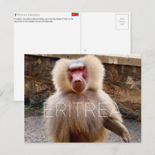 Postal Babuino en Hinzi, postcard de viaje de Eritrea