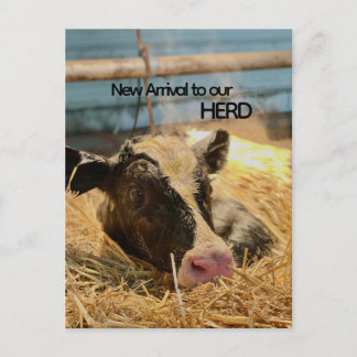 Postal Baby Announcement Postcard