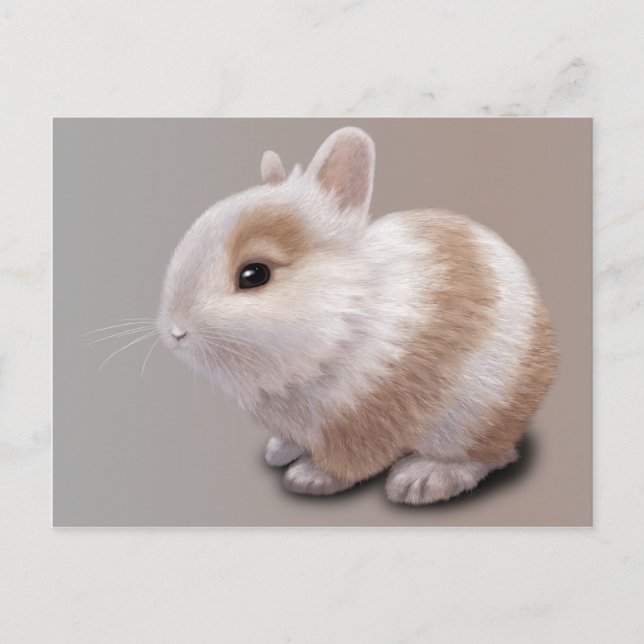 Postal Baby Bunny (Anverso)