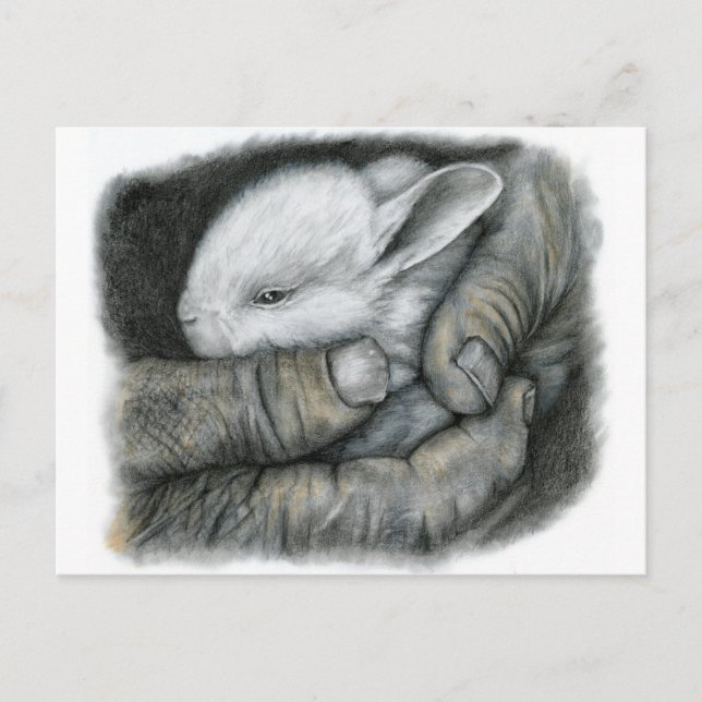 POSTAL BABY BUNNY (Anverso)