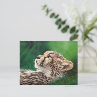 Postal Baby Cheetah postcard