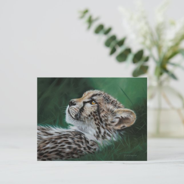 Postal Baby Cheetah Postcard Set 10 (Anverso de pie)