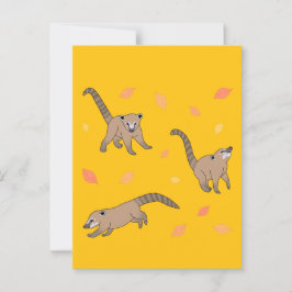Postal Baby Coatis