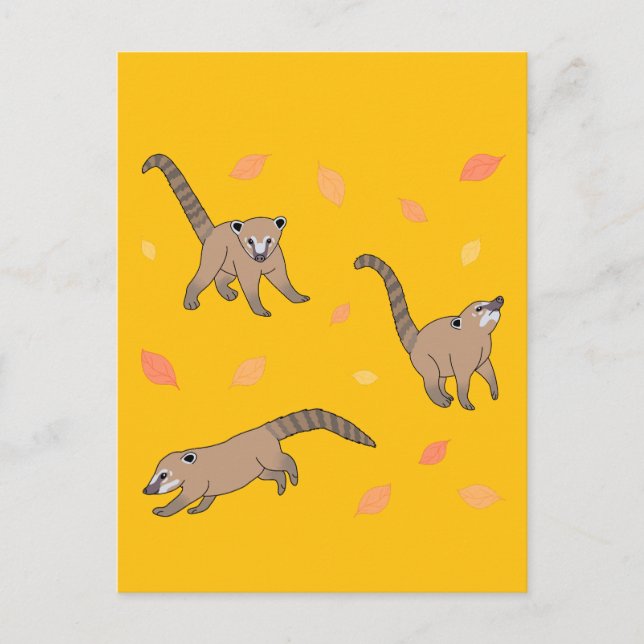 Postal Baby Coatis (Anverso)