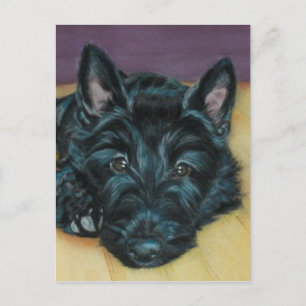 Postal 'Baby Em' - cachorro escocés