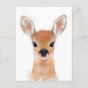 Postal Baby Fawn