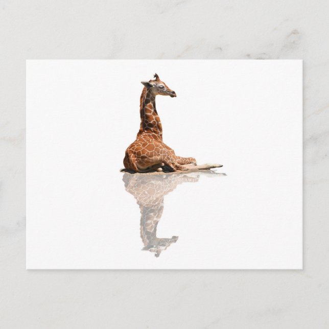 POSTAL BABY GIRAFFE (Anverso)