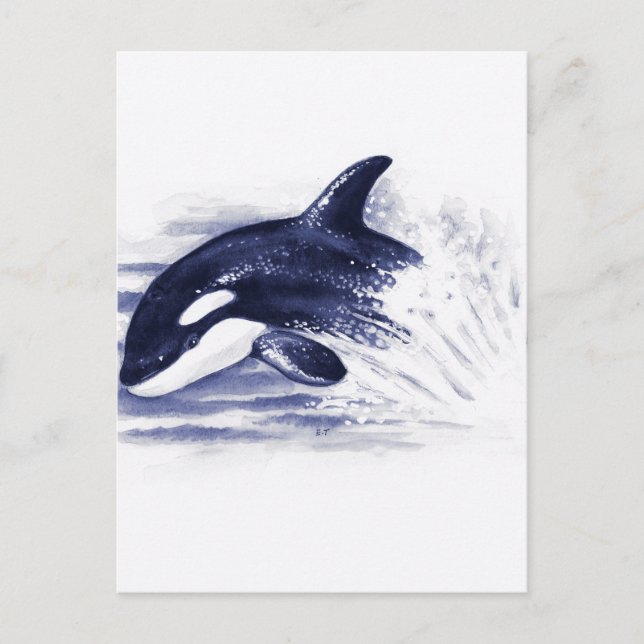 Postal Baby Orca Jump (Anverso)