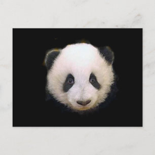 Postal Baby Panda