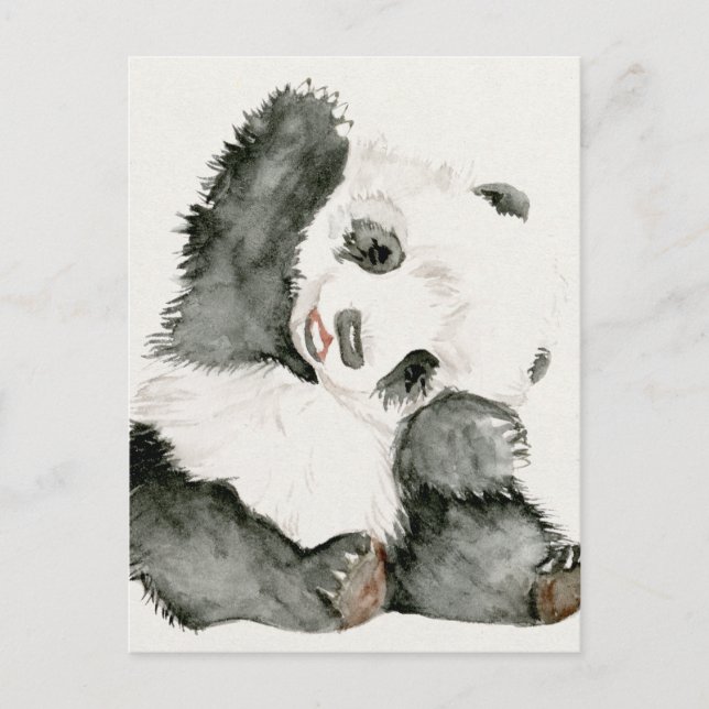 Postal Baby Panda | Cute y Furry (Anverso)